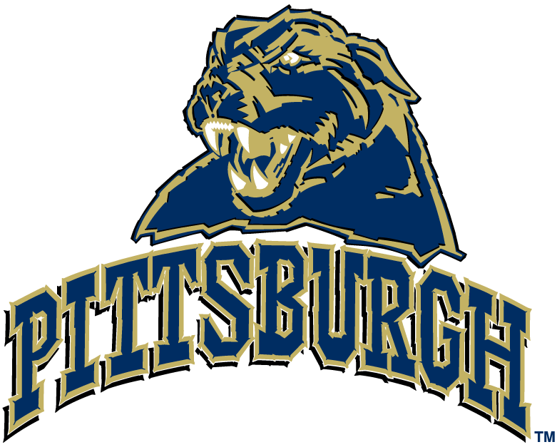 Pittsburgh Panthers 2005-2015 Alternate Logo DIY iron on transfer (heat transfer)